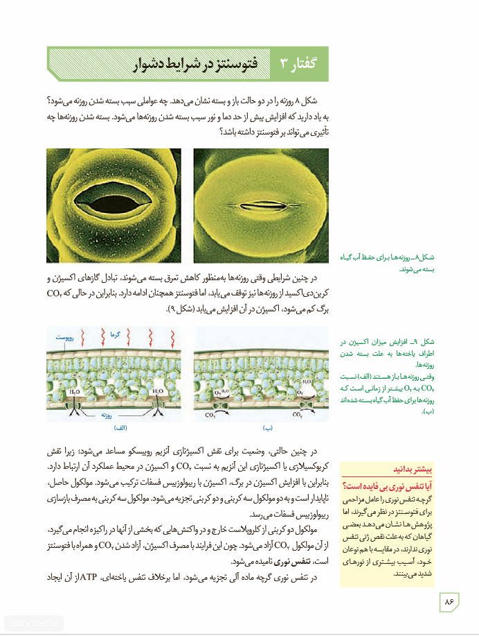 زیست شناسی 3 - پایۀ دوازدهم - دورۀ دوم متوسطه: فصل 6- از انرژی به ماده: گفتار 3 - فتوسنتز در شرایط د