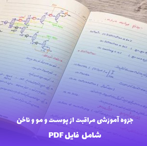 جزوه آموزشی مراقبت از پوست و مو و ناخن (PDF) | روشهای علمی و کاربردی