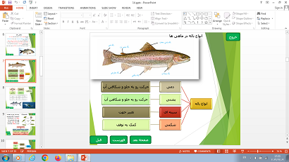 پاورپوینت فصل چهاردهم علوم تجربی پایه نهم جانوران مهره دار